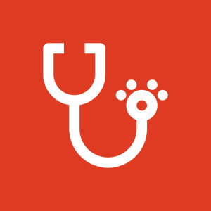 preventative icon red