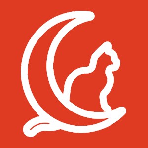 Cat on a crescent moon