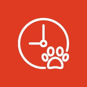 Clock with paw print