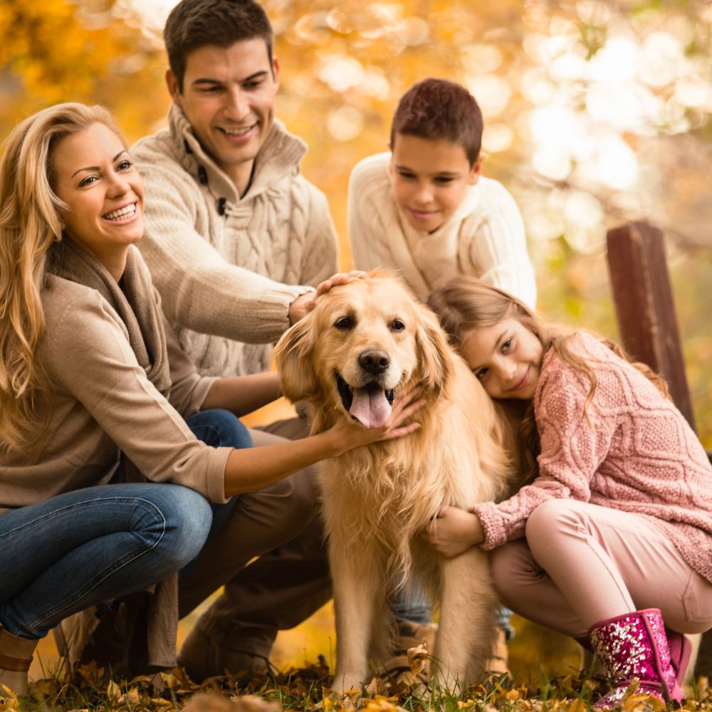 Family and dog in autumn Family and dog in autumn