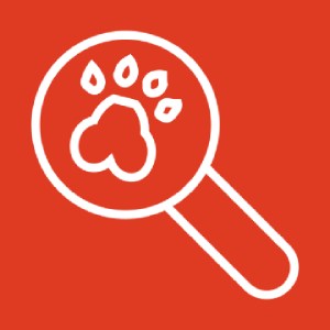 Magnifying glass paw print