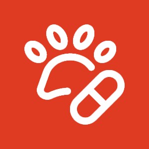 Paw print pill medication