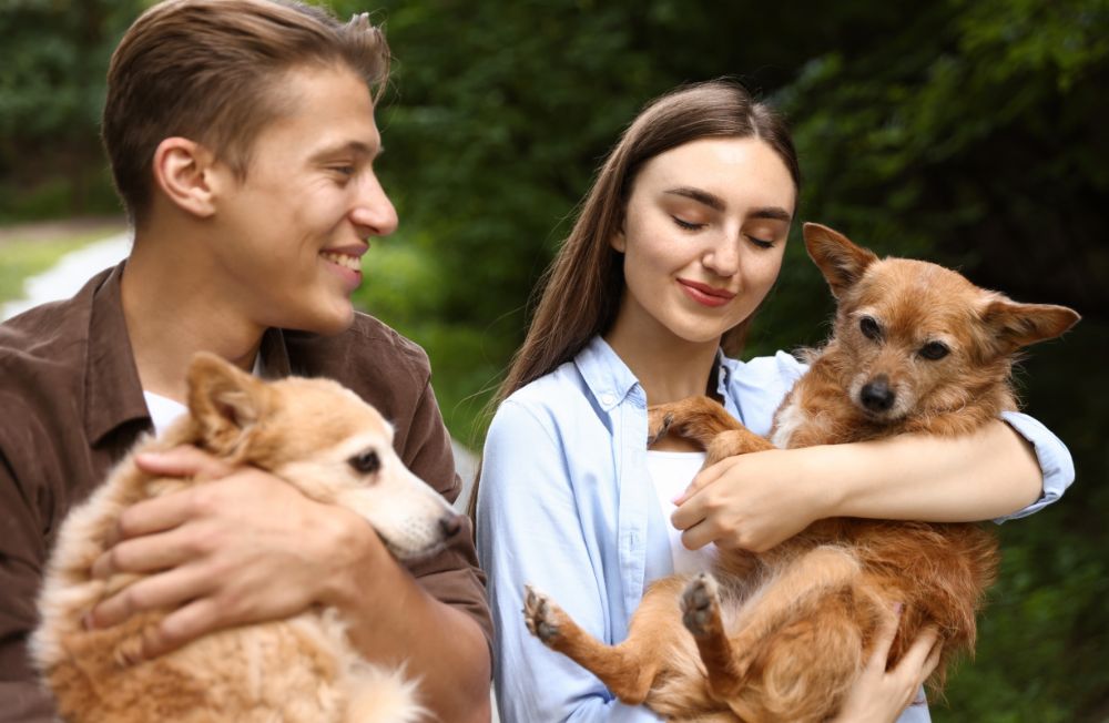 People holding their pet dogs People holding their pet dogs