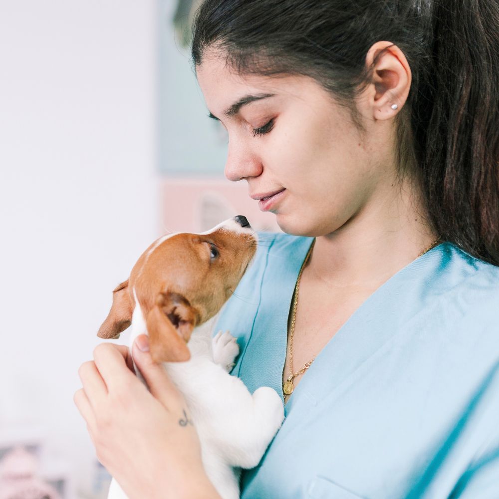 Vet holding shy puppy Vet holding shy puppy
